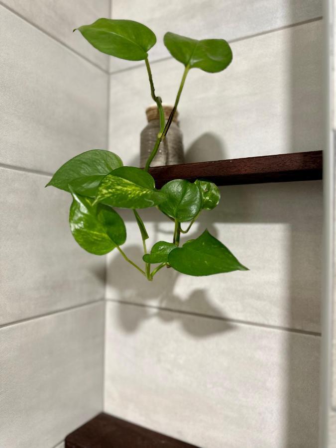 W Apartments كوتور المظهر الخارجي الصورة